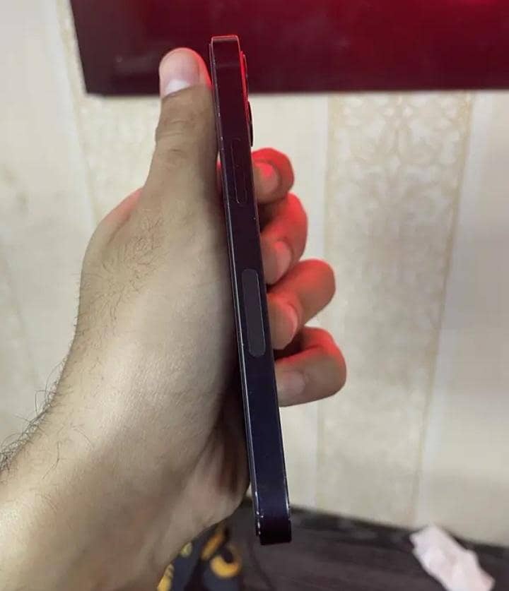 Apple iPhone 12 1