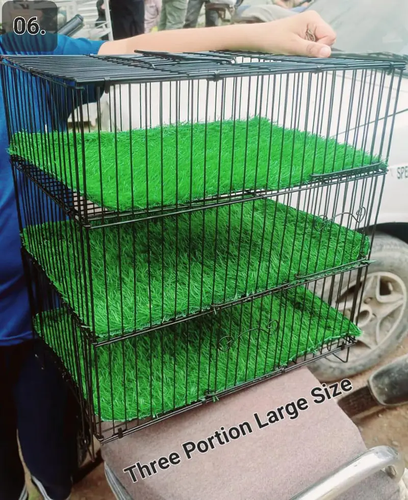 travel cages available — photo 6