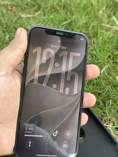 Apple iPhone 12