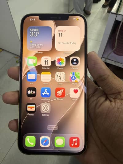 Apple iPhone 12 Pro Max