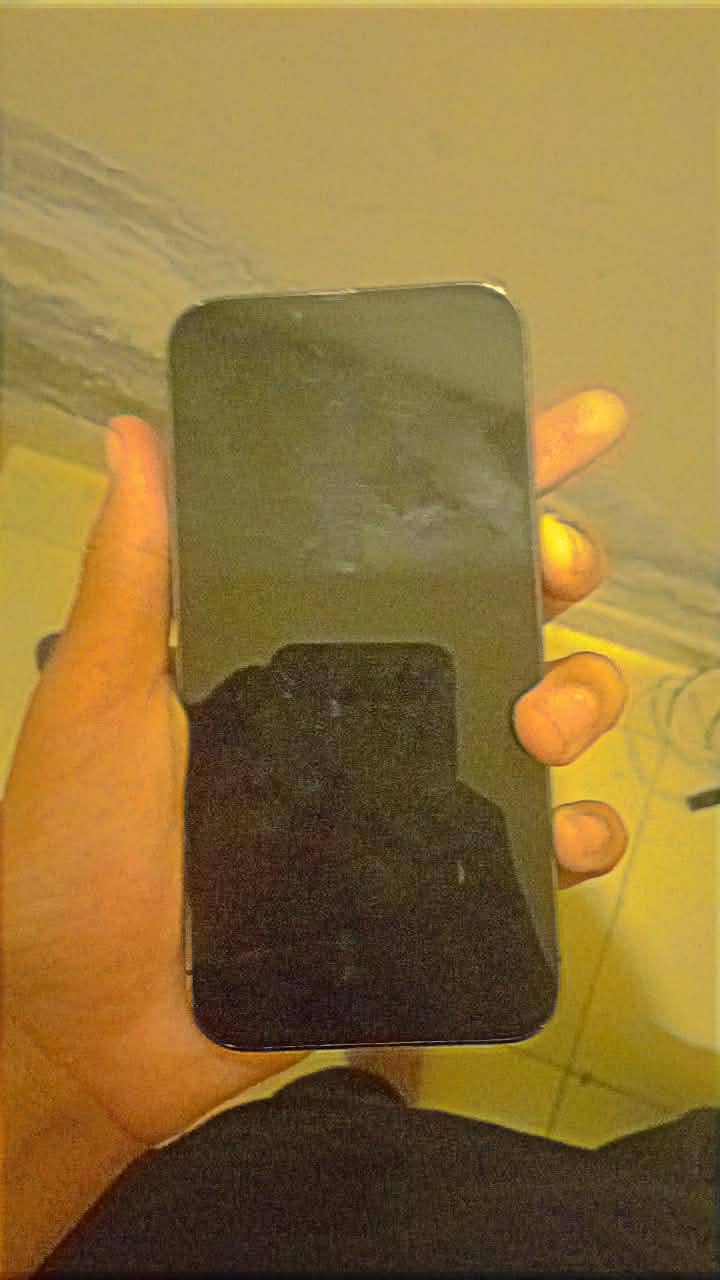 Apple iPhone 13 Pro Max 1