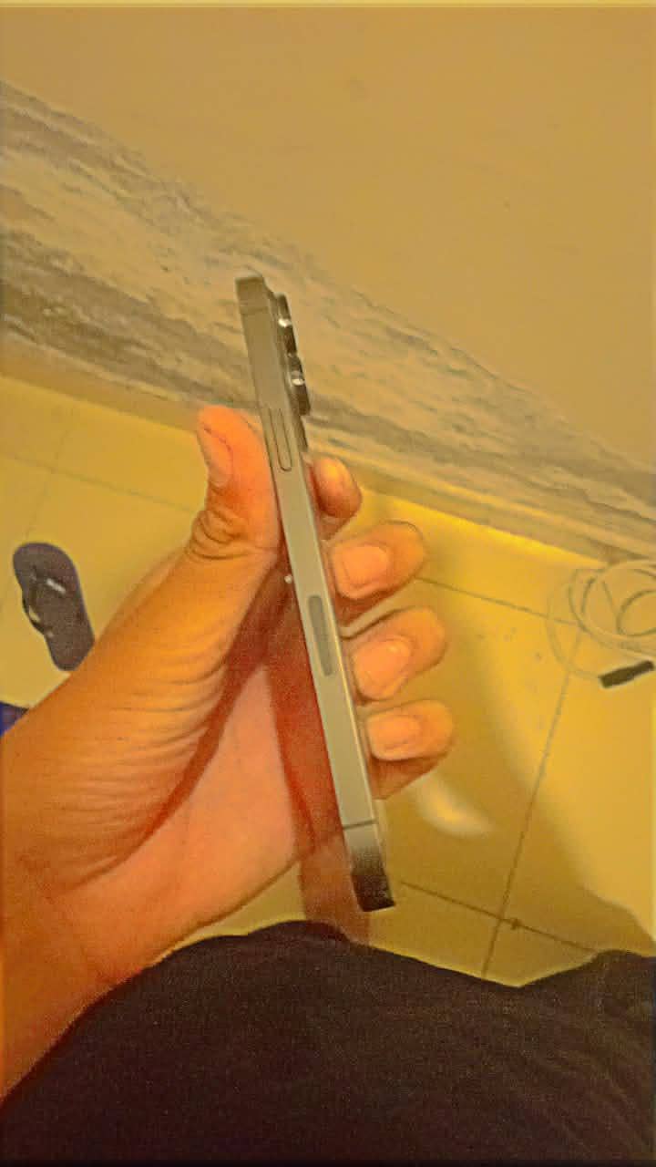 Apple iPhone 13 Pro Max 2
