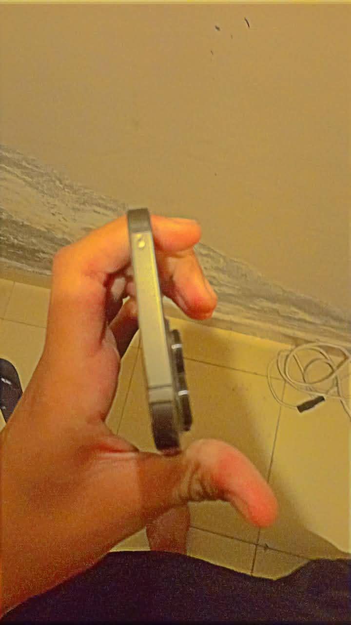 Apple iPhone 13 Pro Max 3