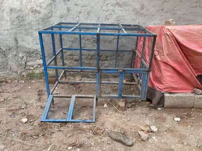 Aseel iron cage