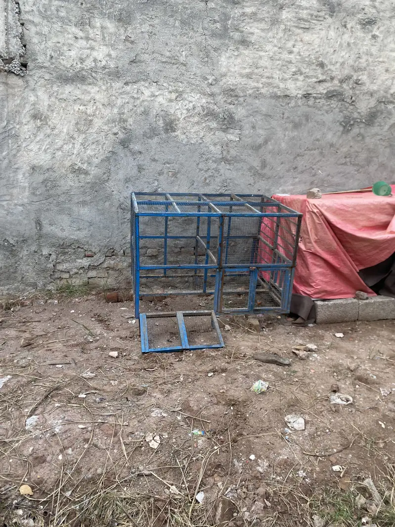 Aseel iron cage — photo 3