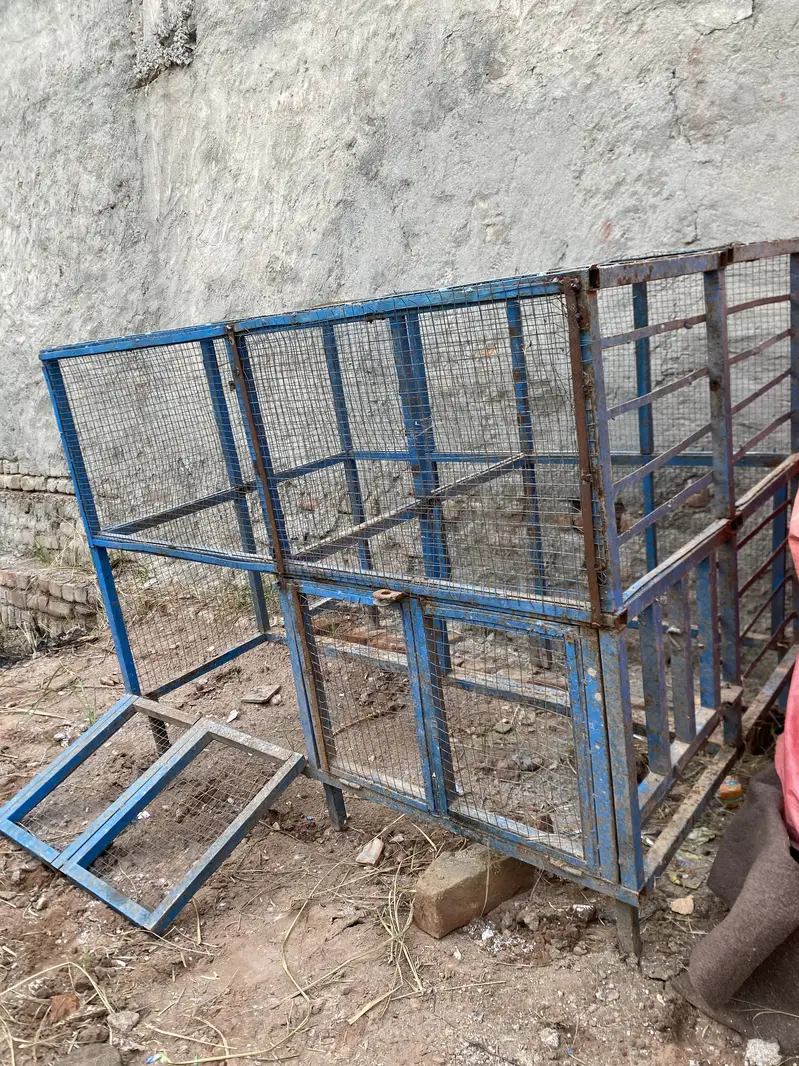 Aseel iron cage — photo 4