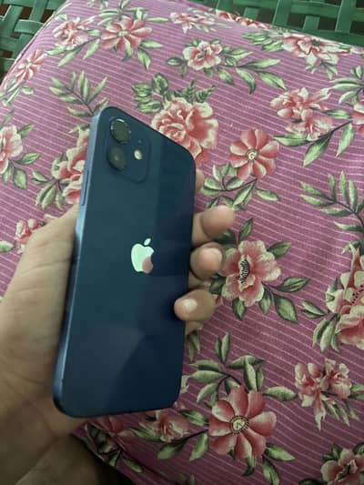 Apple iPhone 12