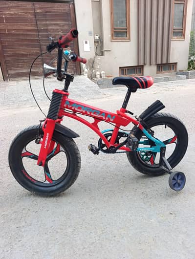 Chinese Bicycle Size 16