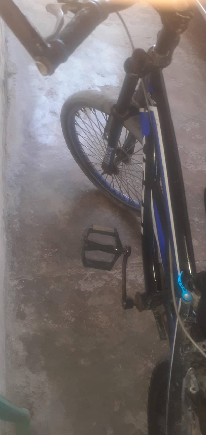 vezel bycycle 4