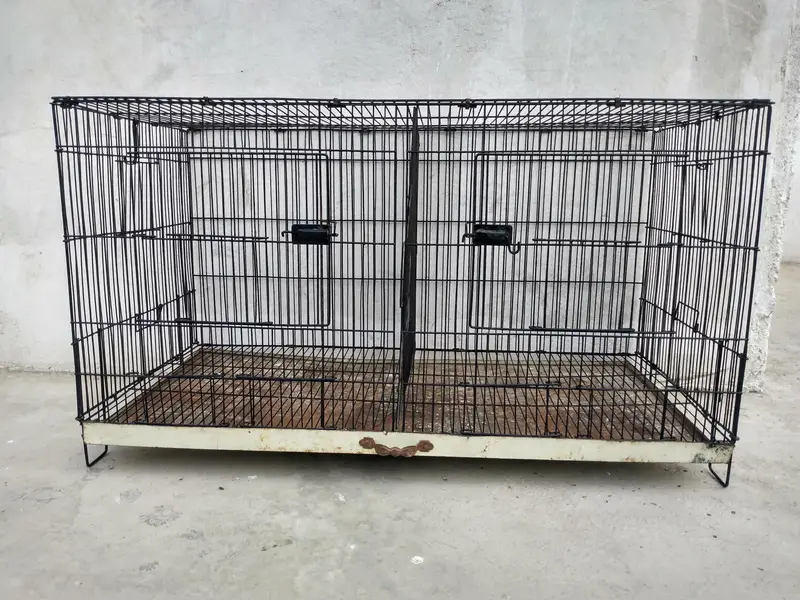 cage pinjra