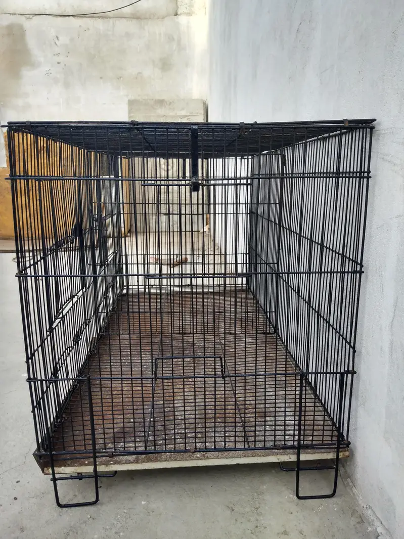 cage pinjra — photo 2
