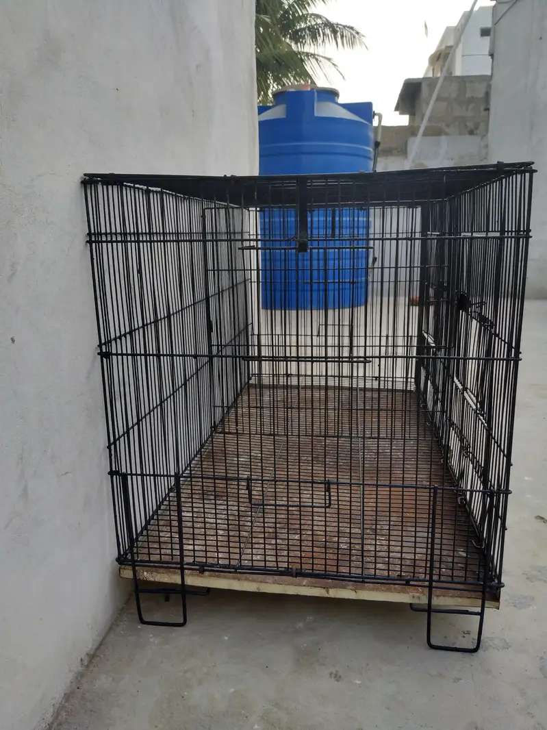 cage pinjra — photo 3