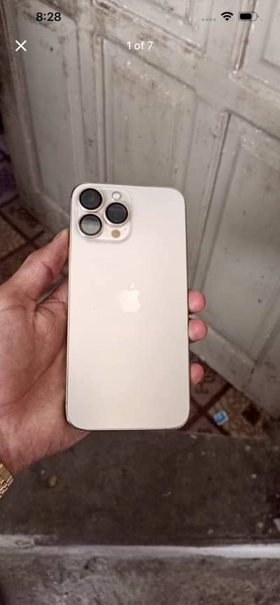 Apple iPhone 13 Pro Max