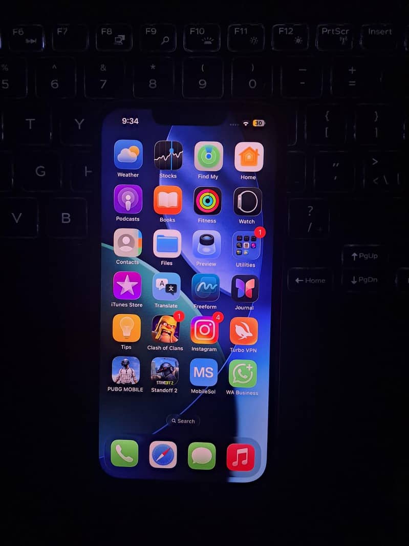 Apple iPhone 13 0