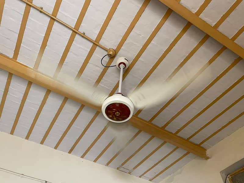 Ceiling Fan 1