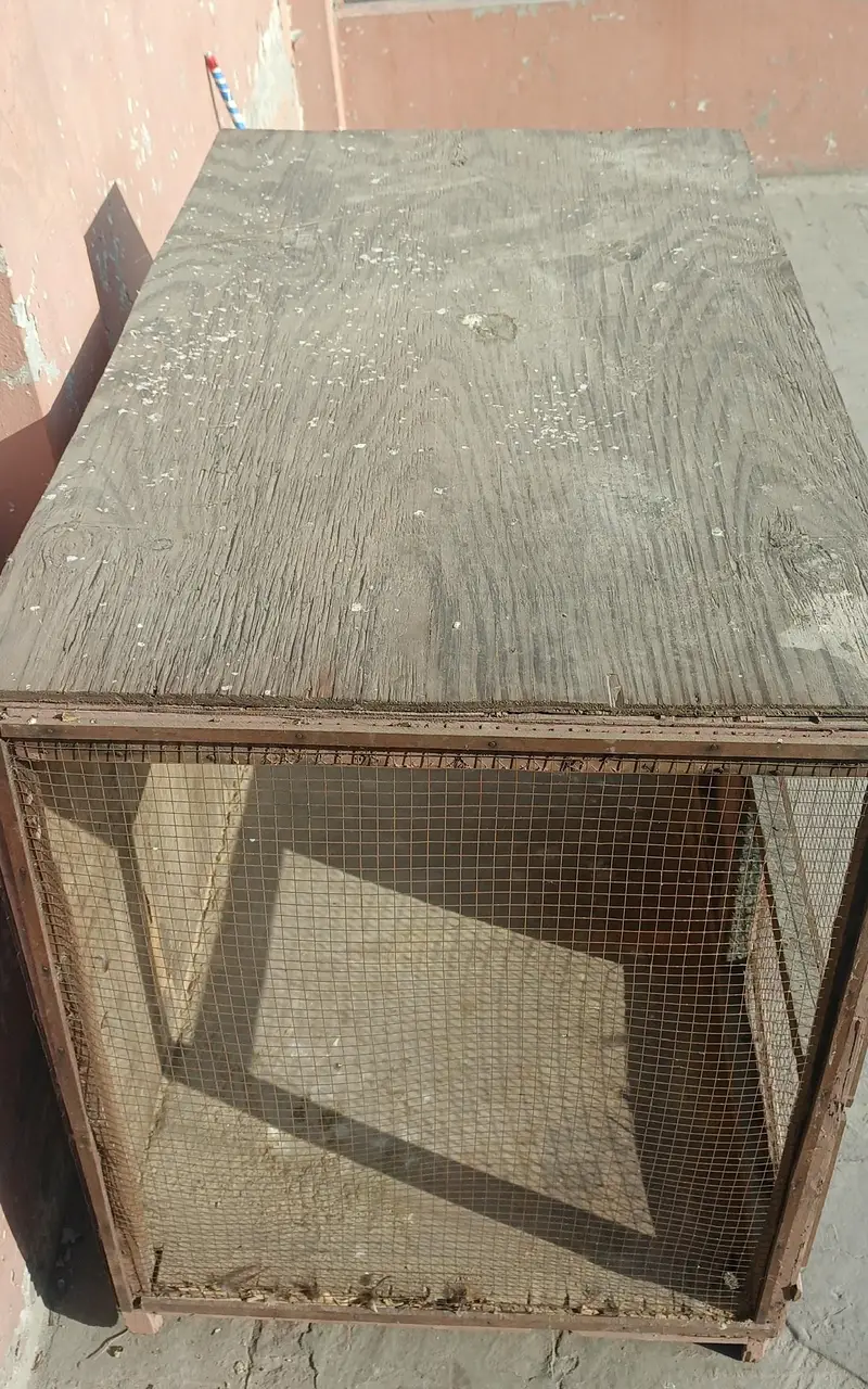 Wooden Hen Cage for Sale — photo 3