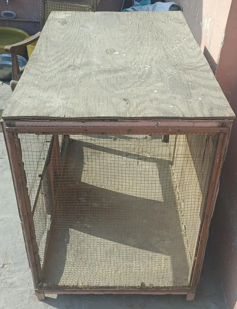 Wooden Hen Cage for Sale — photo 4
