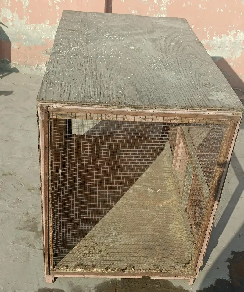 Wooden Hen Cage for Sale — photo 5