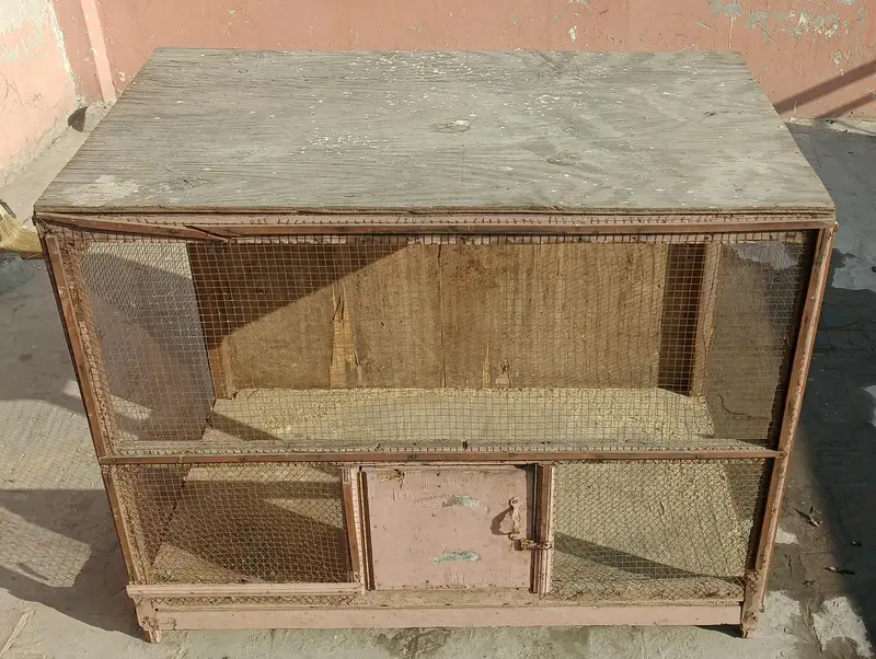 Wooden Hen Cage for Sale — photo 6