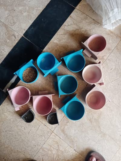 Birds feeding pots
