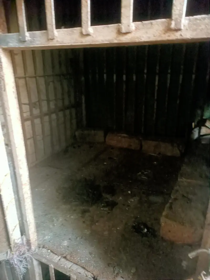 hen cage 4 sides — photo 5