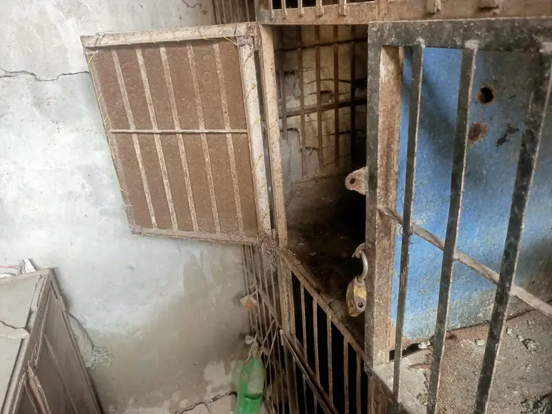 hen cage 4 sides — photo 6