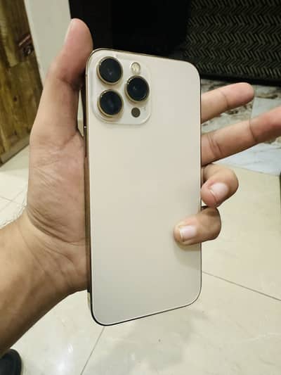 Apple iPhone 13 Pro Max