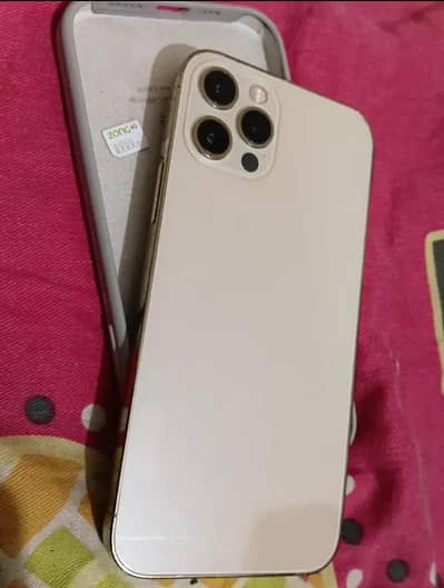 Apple iPhone 12 Pro