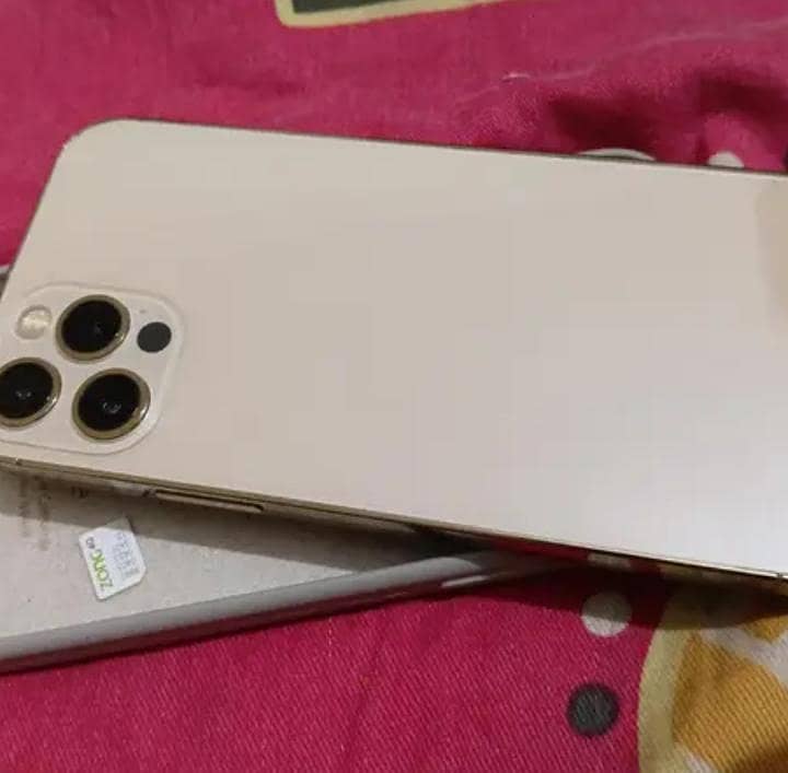 Apple iPhone 12 Pro 1