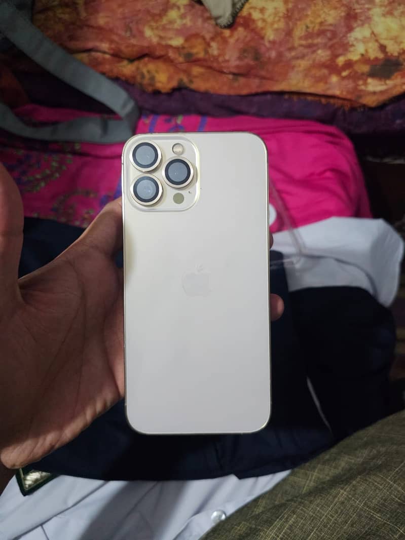 Apple iPhone 13 Pro Max 10
