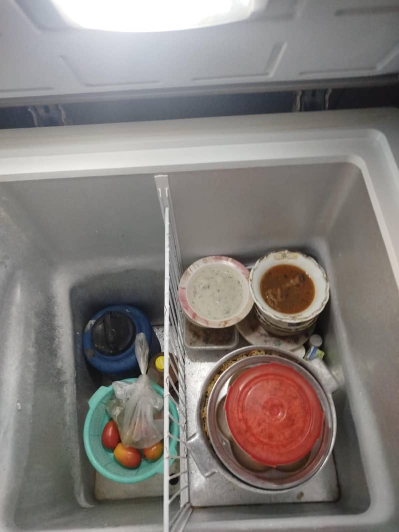 PEL DEEP FREEZER 1