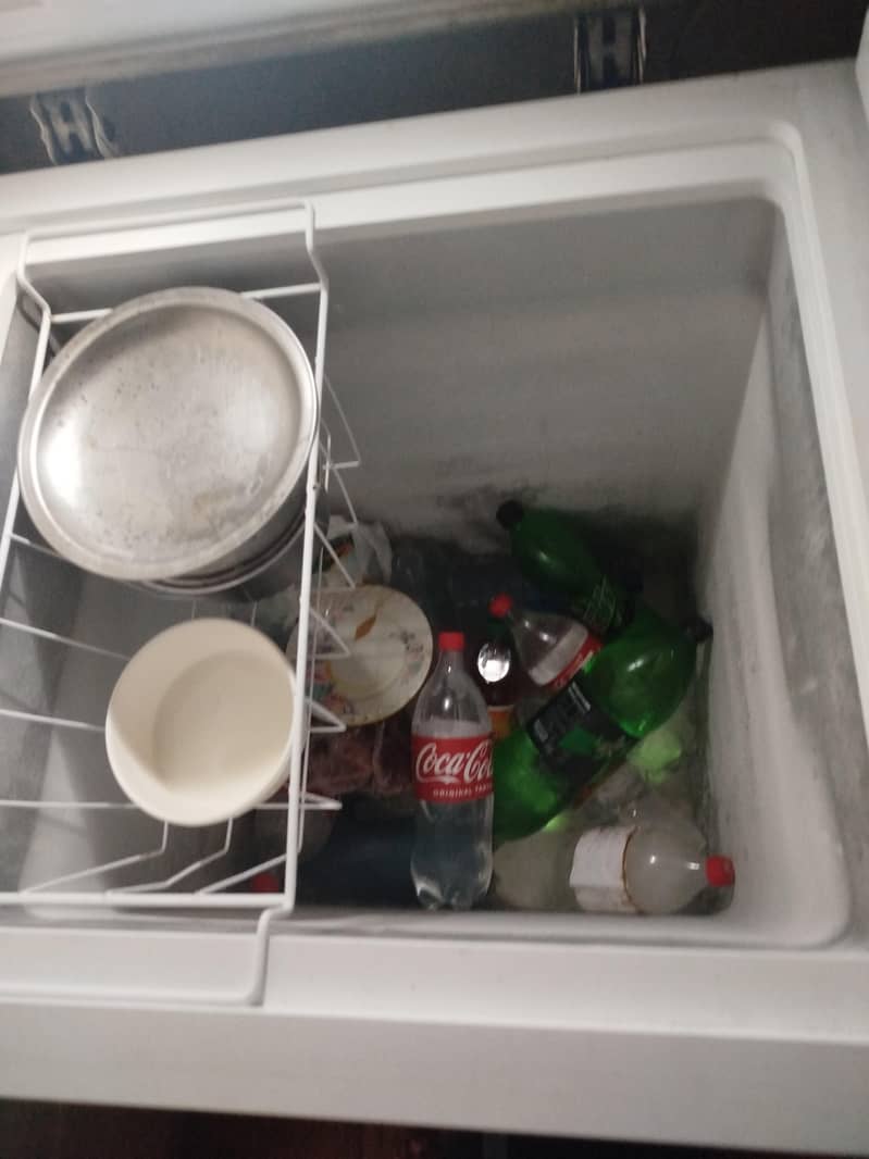 PEL DEEP FREEZER 3