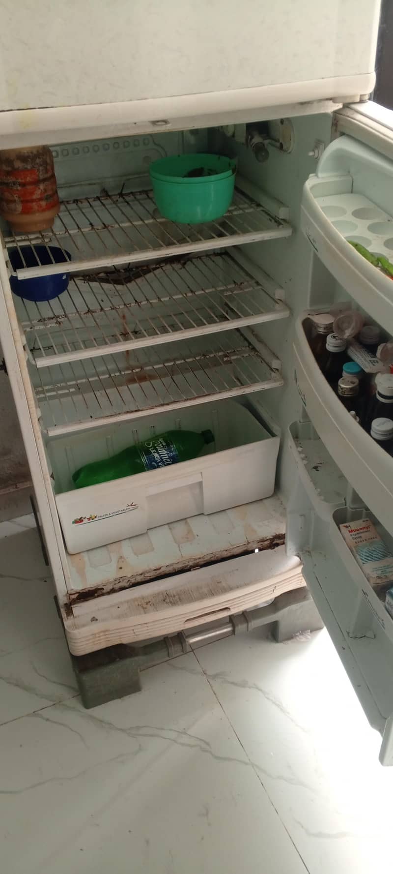 Pel Refrigerator 0