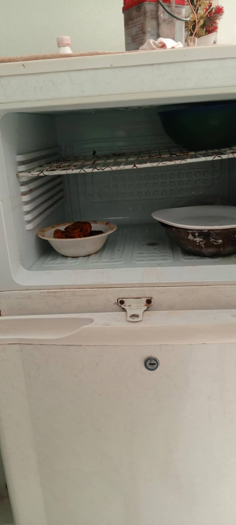 Pel Refrigerator 1