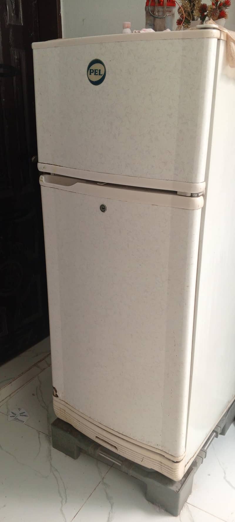 Pel Refrigerator 2