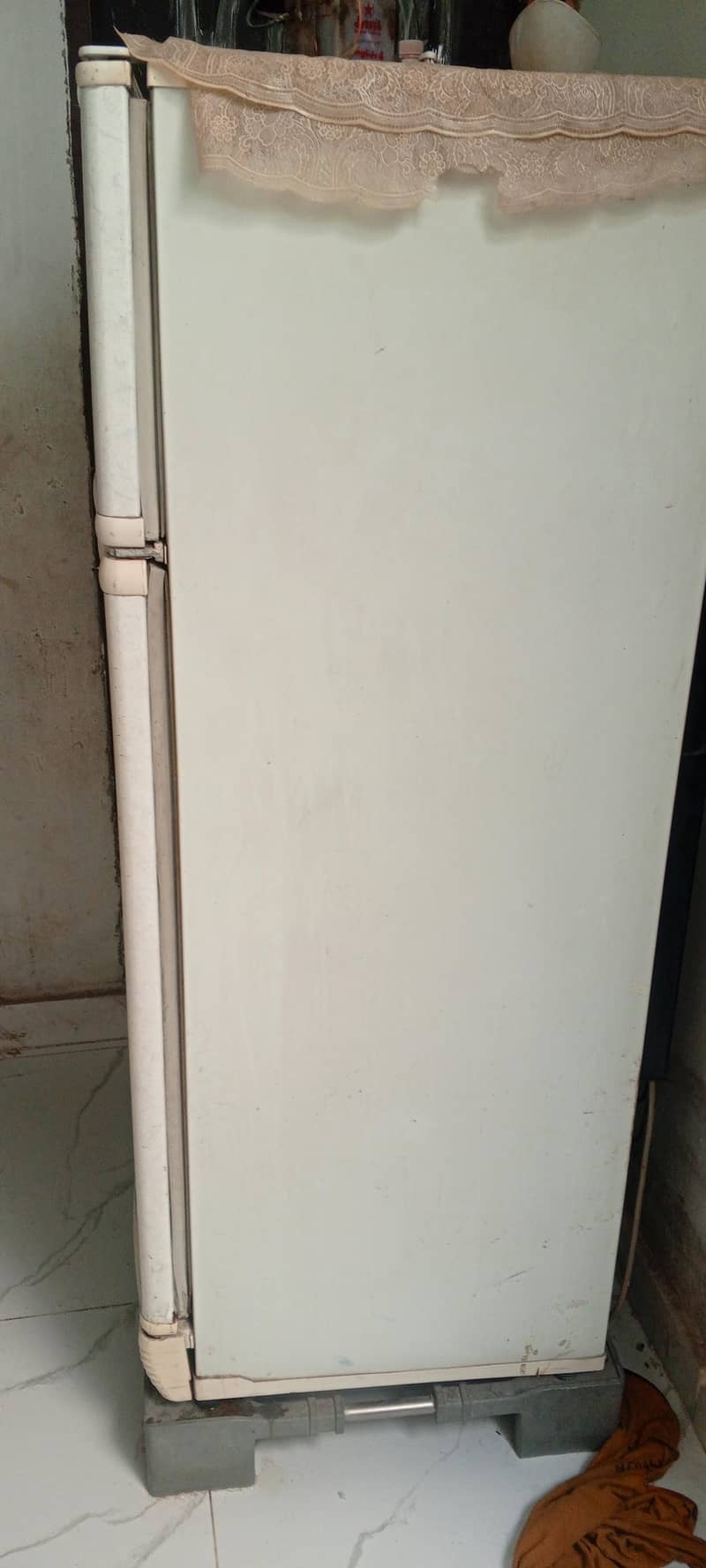 Pel Refrigerator 3