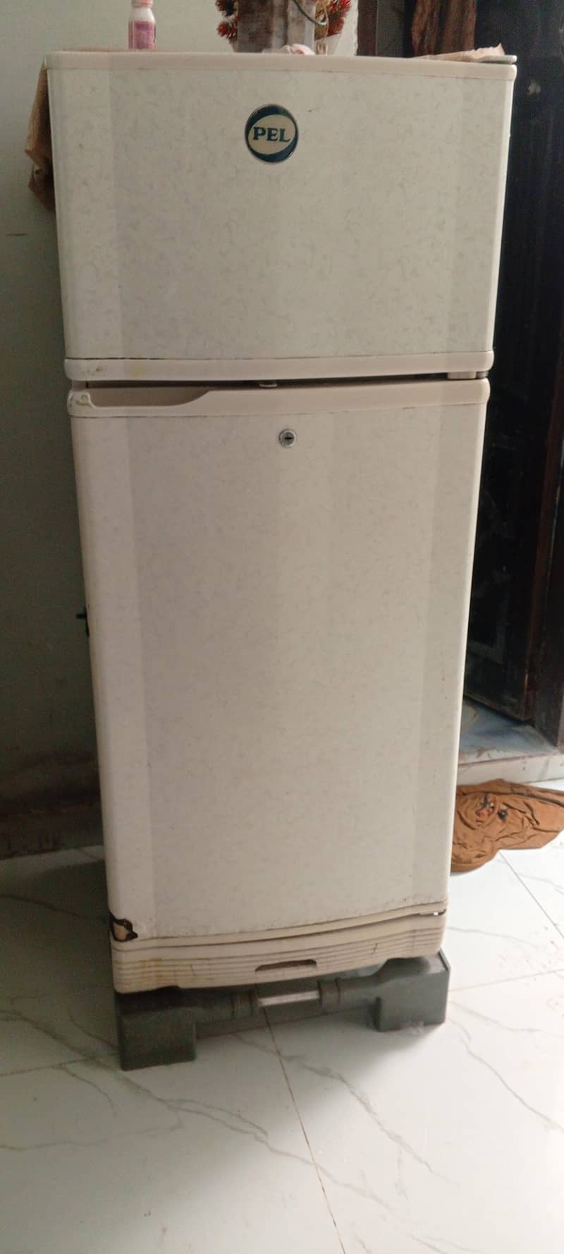 Pel Refrigerator 4
