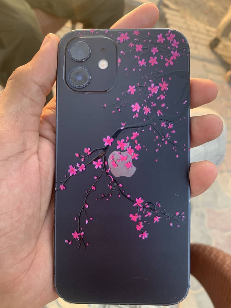iPhone 12 3