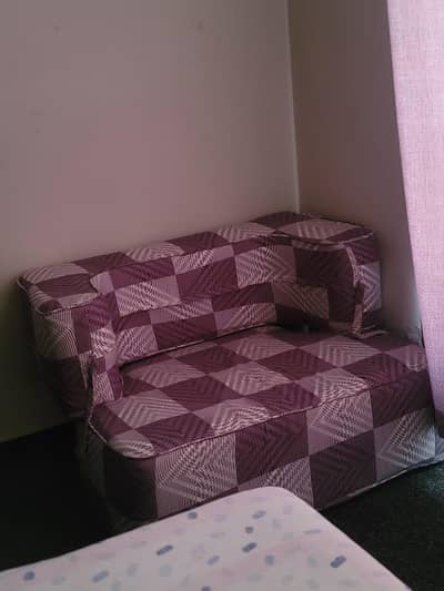 2 single sofa cum bed