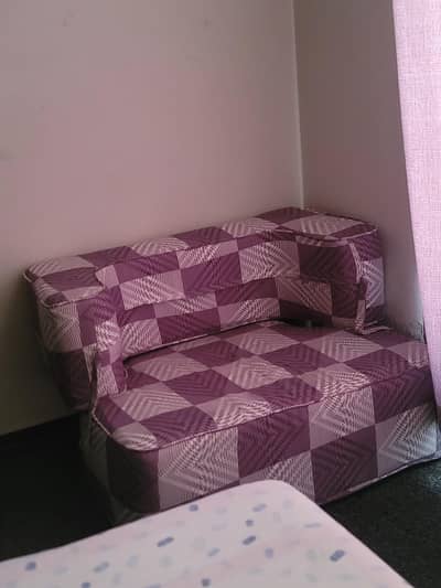 2 single sofa cum bed