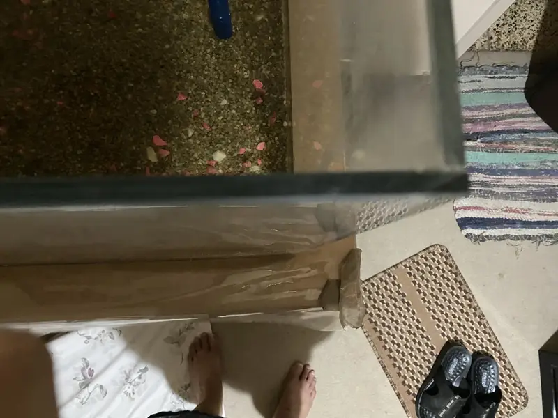 Aquariums plus accessories — photo 2