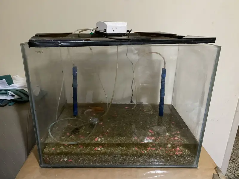Aquariums plus accessories — photo 3