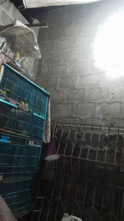 parrot cages 12 portion