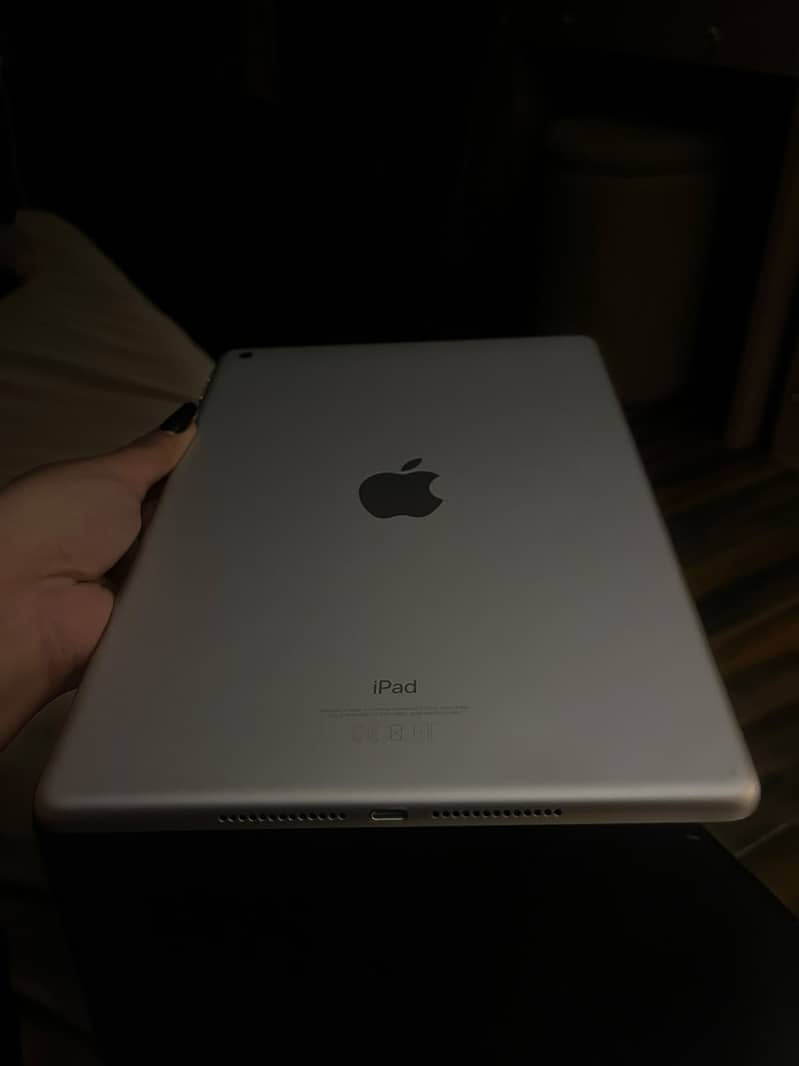 Apple iPad 6th Generation 6