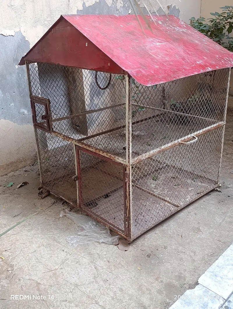 pinjra bird hen parrots 3.5/3.5 or onsa 4 foot good condition ha both — photo 3