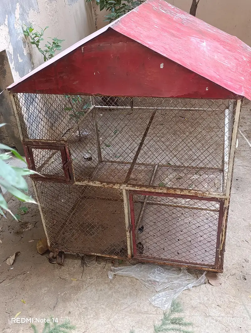pinjra bird hen parrots 3.5/3.5 or onsa 4 foot good condition ha both — photo 4