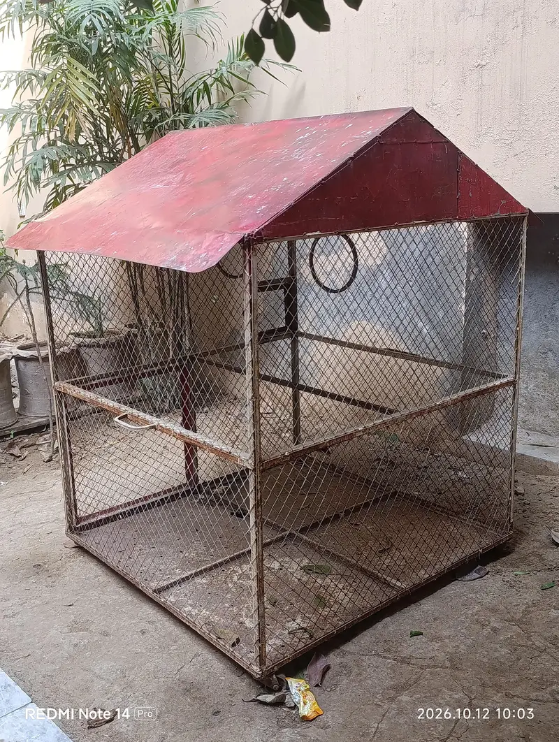 pinjra bird hen parrots 3.5/3.5 or onsa 4 foot good condition ha both — photo 5