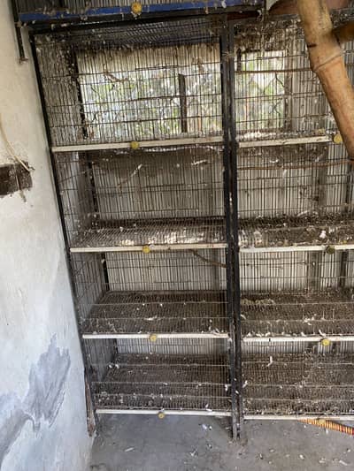 Iron cage