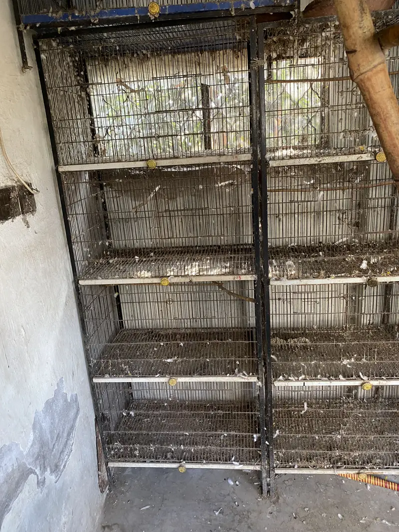 Iron cage