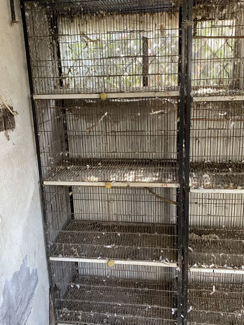 Iron cage — photo 4